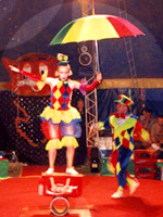 Кемеровский цирк