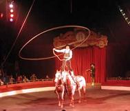 Цирк Сарасота (США)