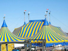 В Казани было сорвано выступление цирка Cirque du Soleil
